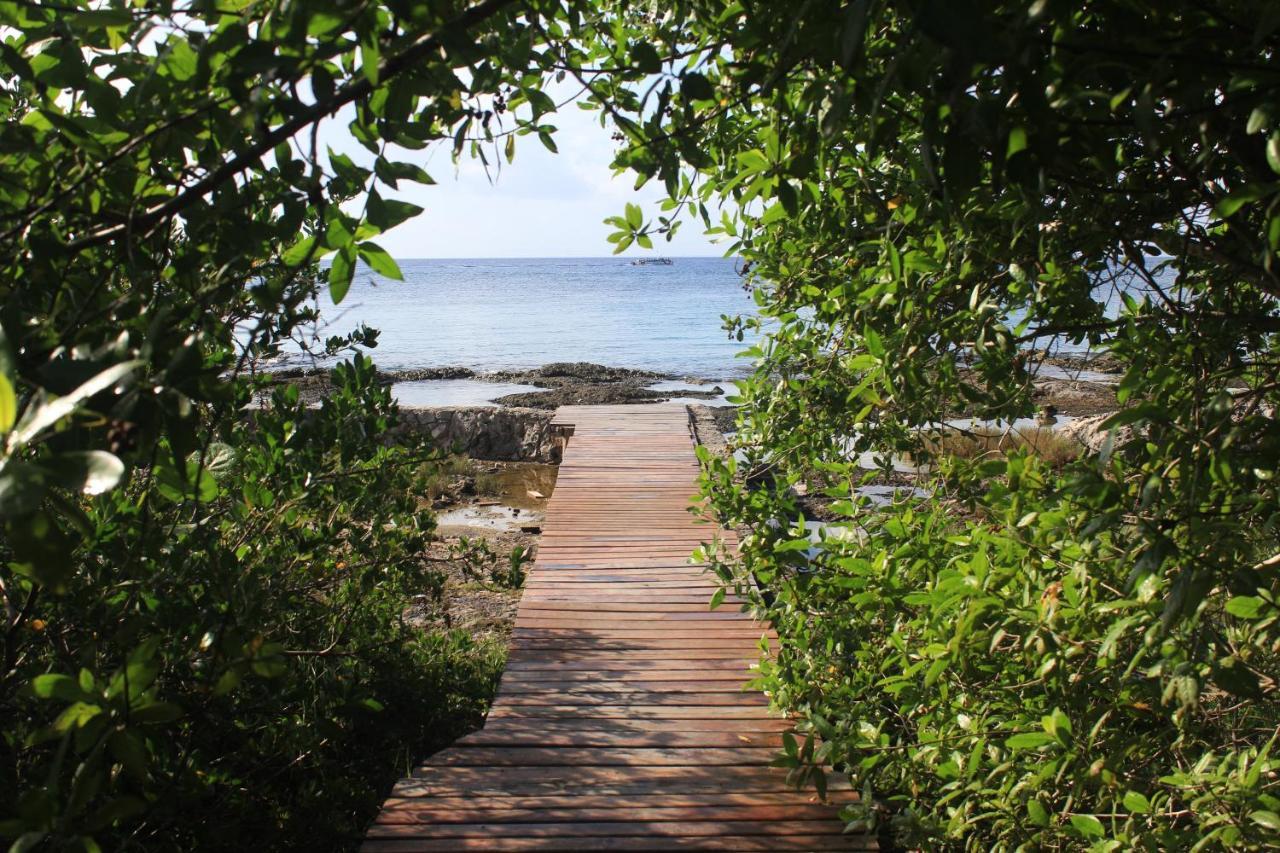 Confortable Casa En Cozumel, Condominio Con Vista Al Mar # 28 Екстер'єр фото